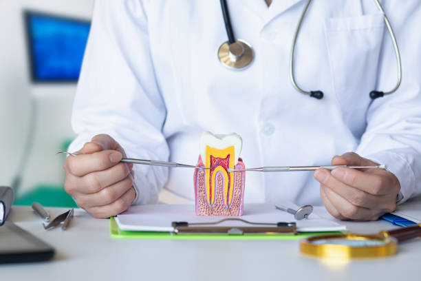 Best Emergency Dental Care for Broken or Chipped Teeth in Loma Ri, CA